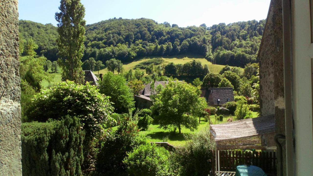 Gite De L Aspre Fontanges Buitenkant foto