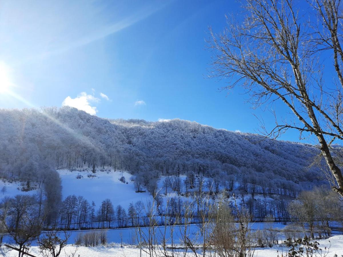 Gite De L Aspre Fontanges Buitenkant foto